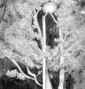 Night Light | Giclee Print