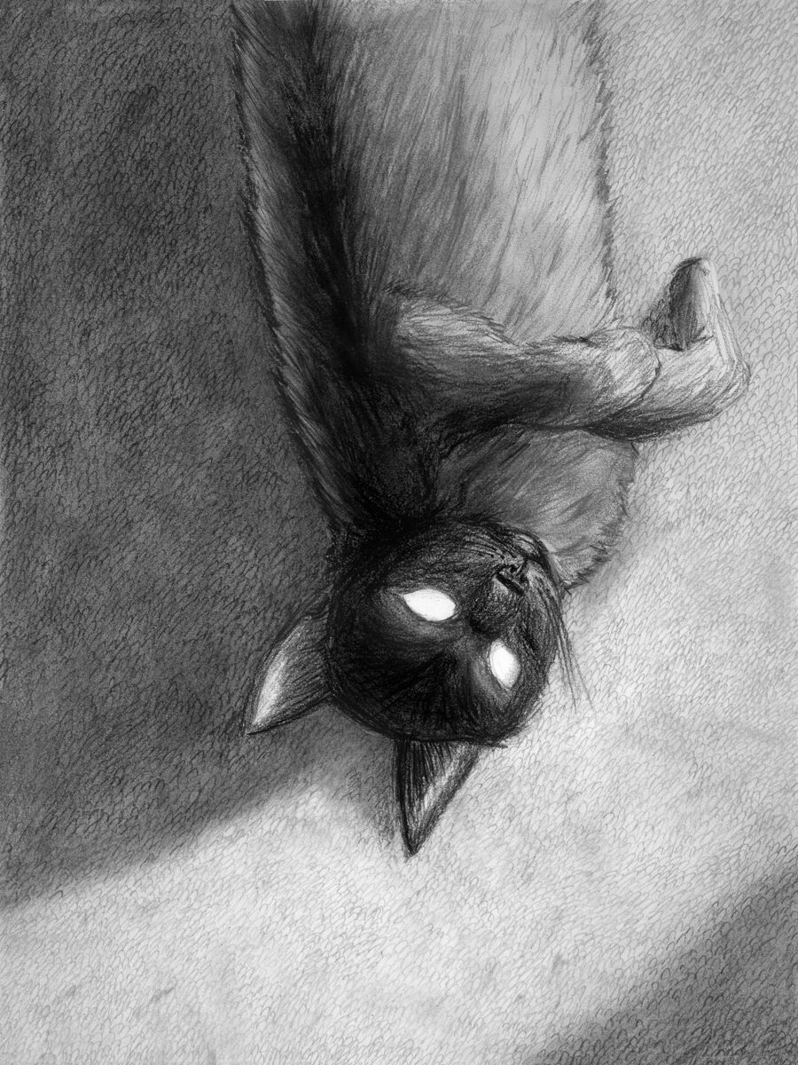 The Magician | Giclee Print