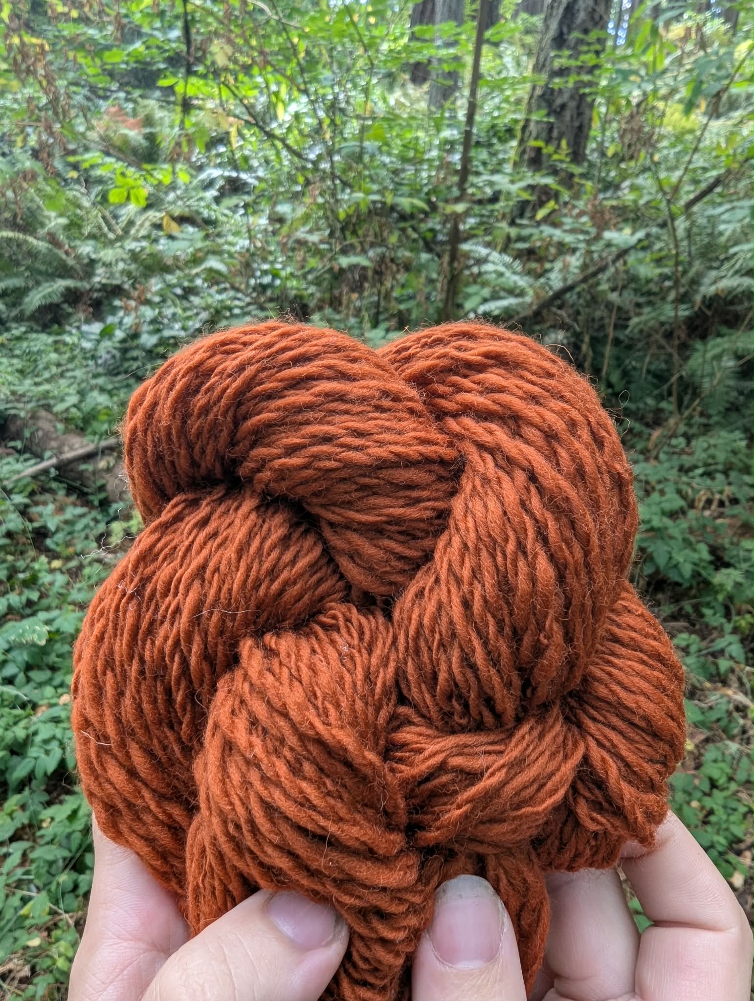 Solid Merino Yarn - Image 3