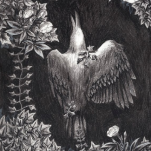 Page of Wands | Giclee Print