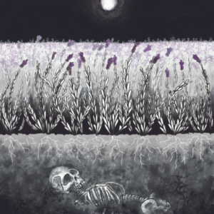 Lavender Dreams | Giclee Print