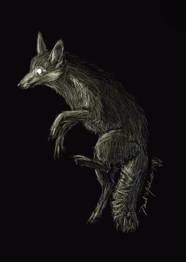Glow Fox | Giclee Print