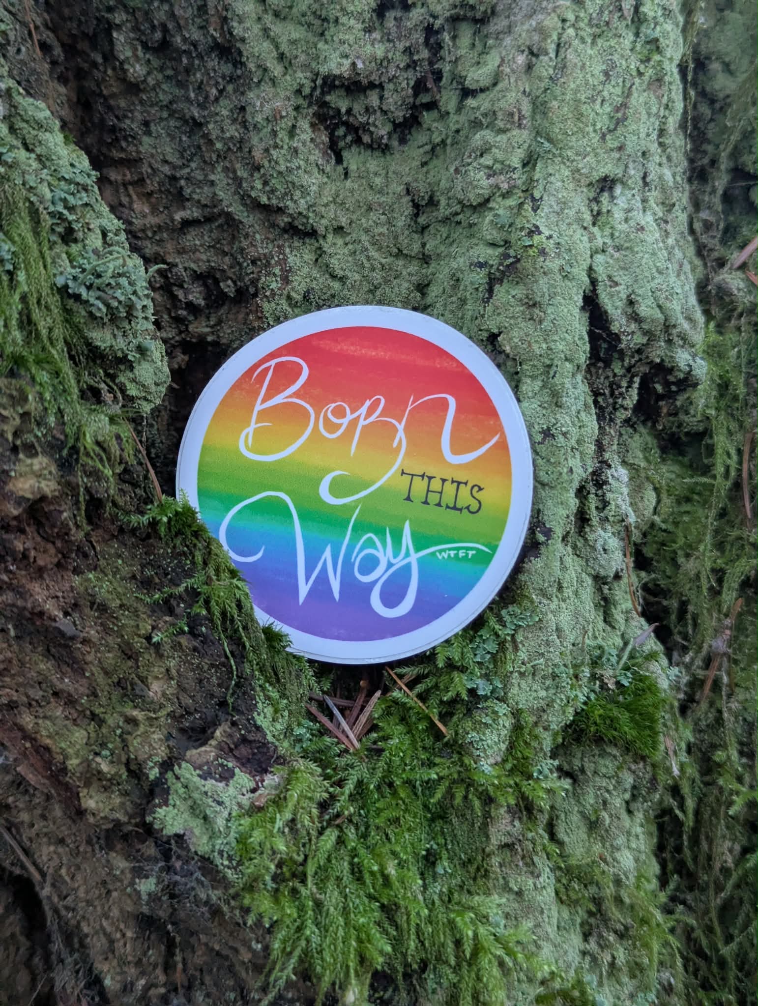 Born This Way | Vinyl Sticker